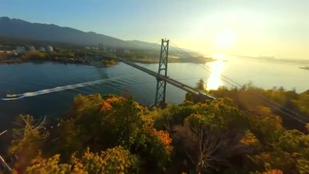 Repülés Fpv Drónnal Lions Gate Hídnál Hajnalban Ősz Brit Columbia — Stock videók