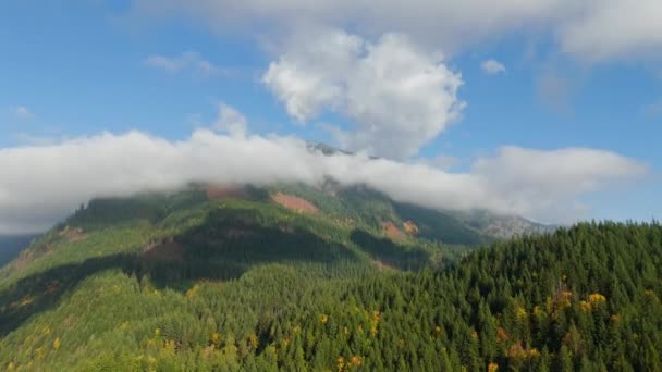 Ohromující Podzimní Krajina Kanadě Vzdušný Pohled Barevný Les Horských Svazích — Stock video
