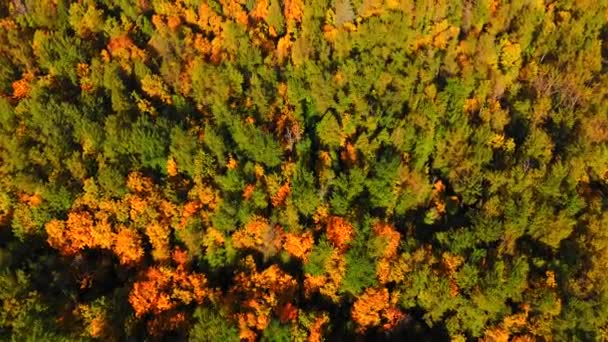 Ohromující Podzimní Krajina Kanadě Britská Kolumbie Pohled Shora Dolů Barevný — Stock video