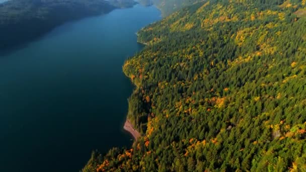 加拿大美丽的秋天风景 不列颠哥伦比亚省山坡和哈里森湖上五彩斑斓的森林的空中景观 — 图库视频影像