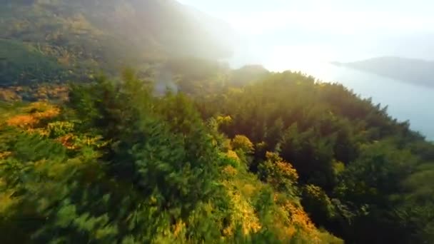 加拿大美丽的秋天风景 俯瞰高山斜坡上五彩斑斓的森林和不列颠哥伦比亚省哈里森湖 被Fpv无人机击中 — 图库视频影像