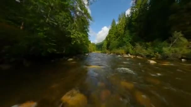 Fpv无人驾驶飞机快速飞越一条山河 流过大石头 被河岸上的树木环绕 加拿大不列颠哥伦比亚省温哥华 — 图库视频影像
