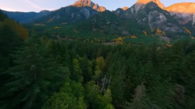 Kanada 'da göz kamaştırıcı sonbahar manzarası, British Columbia. Dağ yamaçlarındaki renkli ormanın havadan görünüşü. FPV insansız hava aracı tarafından çekildi..