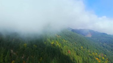 Kanada 'da göz kamaştırıcı sonbahar manzarası, British Columbia. Dağ yamaçlarındaki renkli ormanın ve bulutlu gökyüzünün havadan görünüşü. 