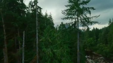 Büyük taşların arasında akan ve kıyılarda ağaçlarla çevrili bir dağ nehrinin üzerinden uçmak. Vancouver, British Columbia, Kanada. POV FPV insansız hava aracı ile filme alındı.