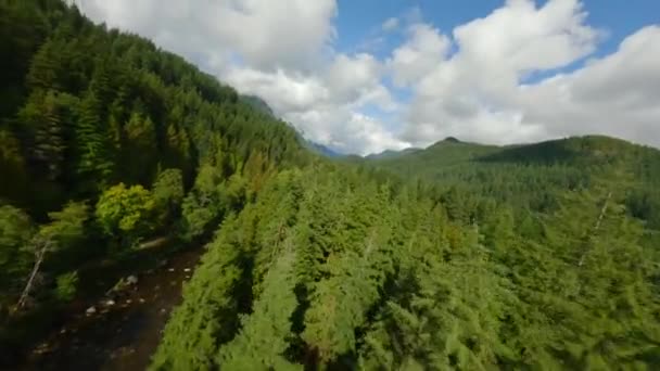 Fpv Insansız Hava Aracıyla Dağ Manzarası Nehir Üzerinde Hızlı Bir — Stok video