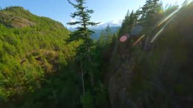 FPV insansız hava aracıyla kaplı dağ yamaçlarının üzerinden manevra yapılabilir uçuş. Vancouver, British Columbia, Kanada yakınlarında çekilmiş.. 