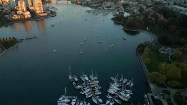 Widok Lotu Ptaka Wieżowce Centrum Miasta Góry Port Vancouver Kolumbia — Wideo stockowe