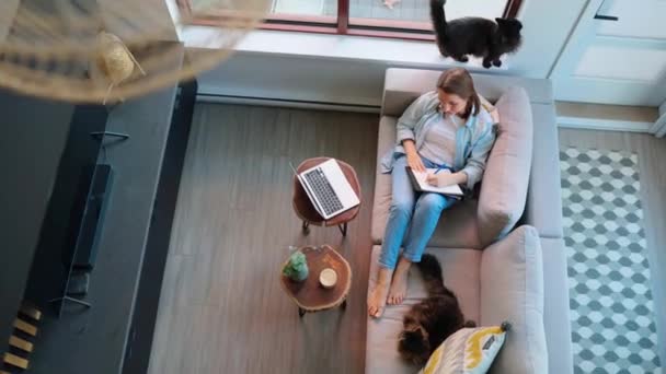 ノートを書いたり講義を聞いたりする女性の頭上の眺めは 自宅のソファーに横たわっています 彼女の隣に座っているふわふわの猫 — ストック動画