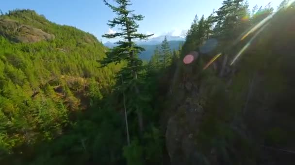 Маневрений Політ Над Гірськими Схилами Покритий Лісом Fpv Drone Поблизу — стокове відео