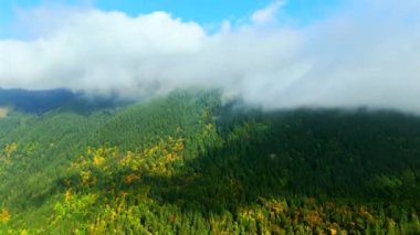 Kanada 'da göz kamaştırıcı sonbahar manzarası, British Columbia. Dağ yamaçlarındaki renkli ormanın ve bulutlu gökyüzünün havadan görünüşü. 