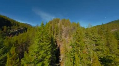 FPV İHA 'sıyla dağ manzarası ve yol üzerinde manevra yapılabilir uçuş. Kanada 'yı dolaş. Vancouver, British Columbia, Kanada yakınlarında çekilmiş.. 