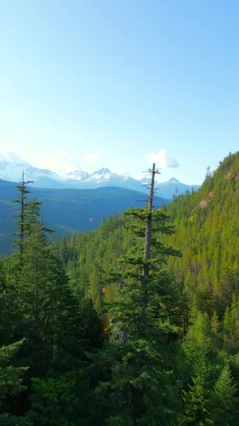 Luchtfoto Van Bergen Met Gletsjers Bij Squamish British Columbia Canada — Stockvideo