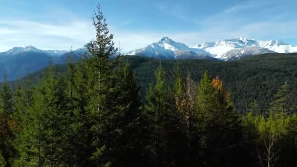 Luchtfoto Van Besneeuwde Bergen Met Gletsjers Bij Squamish British Columbia — Stockvideo