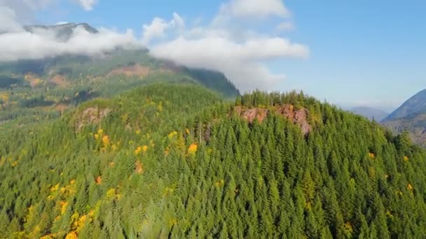 カナダの素晴らしい秋の風景 ブリティッシュコロンビア州ハリソン湖と山の斜面にあるカラフルな森の空中観察 異なるスピードで撮影 正常で加速 — ストック動画