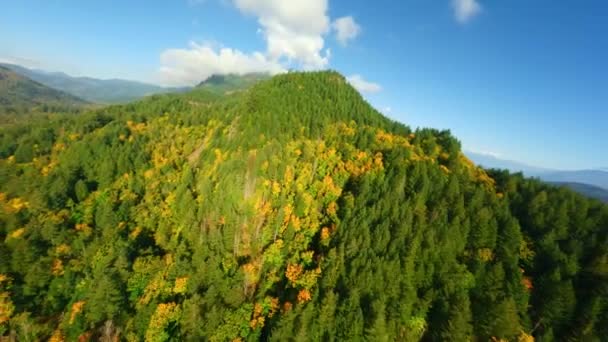 加拿大美丽的秋天风景 不列颠哥伦比亚省哈里森湖附近山坡上五彩斑斓的森林的空中景观 被Fpv无人机击中 — 图库视频影像