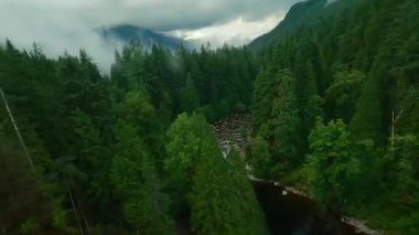 Büyük taşların arasında akan ve yağmurdan sonra kıyılarda ağaçlarla çevrili bir dağ nehri üzerinde hızlı bir uçuş. Vancouver, British Columbia, Kanada. POV FPV insansız hava aracı ile filme alındı.