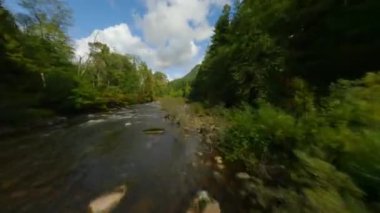 FPV insansız hava aracıyla büyük taşların arasında akan ve kıyılarda ağaçlarla çevrili bir dağ nehri üzerinde hızlı bir uçuş. Vancouver, British Columbia, Kanada. 