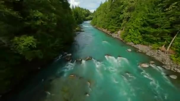 Fpv Drone Let Přes Rychle Pohybující Řeku Peřejemi Obklopen Pine — Stock video