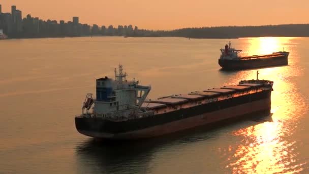 Aerial View Cargo Bulkers Port Vancouver Sunset British Columbia Canada — Stock Video