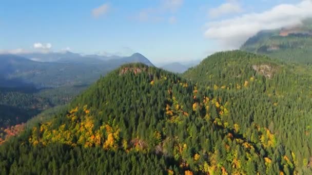 在加拿大不列颠哥伦比亚省的秋天风景迷人极了 山坡上多彩的森林和多云的天空的空中景观 — 图库视频影像