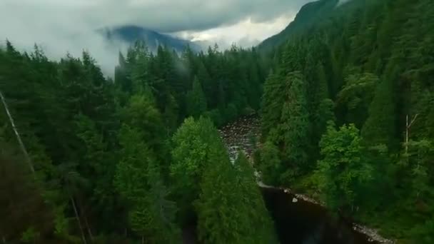 사이에 흐르는 은행에 나무로 둘러싸여 밴쿠버 브리티시컬럼비아 캐나다 Fpv 드론으로 — 비디오