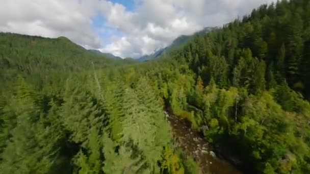 사이에 흐르는 풍경과 Fpv 드론에 은행에 나무로 둘러싸여 밴쿠버 브리티시컬럼비아 — 비디오