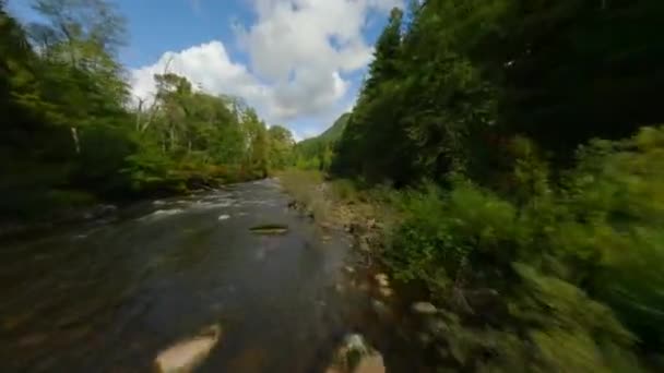 Fast Flight Fpv Drone Mountain River Flowing Large Stones Surrounded — Stock Video