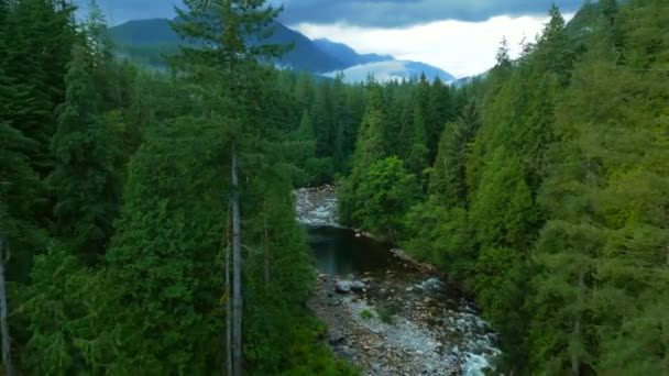 Αεροφωτογραφία Του Όμορφου Ορεινού Τοπίου Ένα Ποτάμι Βουνών Ρέει Ανάμεσα — Αρχείο Βίντεο