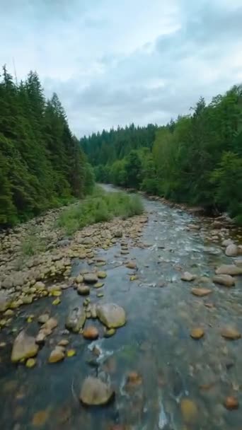 垂直录像 飞驰过山河 流过大石头 被河岸上的树木环绕 加拿大不列颠哥伦比亚省温哥华 用Fpv无人机拍摄的Pov — 图库视频影像