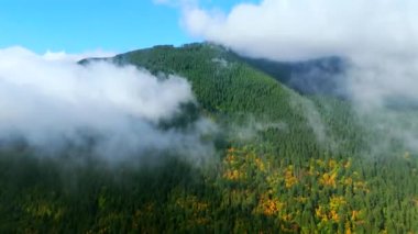 Stunning autumn landscape in Canada, British Columbia . Aerial view of colourful forest on mountain slopes and cloudy sky. Accelerated video