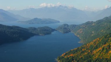 Kanada 'da göz kamaştırıcı sonbahar manzarası. Dağ yamaçlarındaki renkli ormanın havadan görünüşü ve Harrison Gölü, British Columbia.