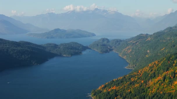 Kanada Göz Kamaştırıcı Sonbahar Manzarası Dağ Yamaçlarındaki Renkli Ormanın Havadan — Stok video