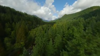 FPV insansız hava aracıyla dağ manzarası ve nehir üzerinde hızlı bir uçuş. Büyük taşların arasında akıyor ve kıyılarda ağaçlarla çevrili. Vancouver, British Columbia, Kanada. 