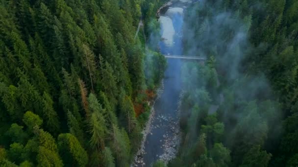 美しい山の風景のトップダウンビュー 背の高い木々の間には山の川が流れ 雨が降った後 山の斜面に雲が覆われている キャニオン パーク イギリス — ストック動画