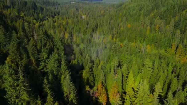 Αεροφωτογραφία Του Καναδικού Τοπίου Στο Βουνό Φθινόπωρο Συννεφιασμένη Ημέρα Τραβήχτηκε — Αρχείο Βίντεο