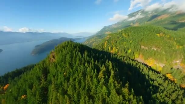 Fantastiskt Höstlandskap Kanada Flygfoto Över Färgglada Skog Bergssluttningar Och Harrison — Stockvideo