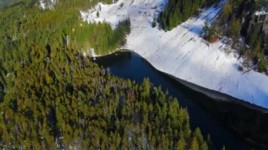 Dağ yamaçlarında sis olan yeşil ağaçların havadan görünüşü. Kanada kayalık dağ manzarası Britanya Kolumbiyası, Kanada 'da karla kaplandı.