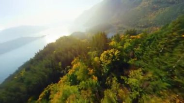 Kanada 'da göz kamaştırıcı sonbahar manzarası. Dağ yamaçlarındaki renkli ormanın havadan görünüşü ve Harrison Gölü, British Columbia. FPV insansız hava aracı tarafından çekildi.