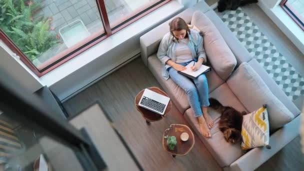俯瞰妇女写笔记和听讲座 躺在沙发上的情景 毛绒绒的猫坐在她旁边 — 图库视频影像