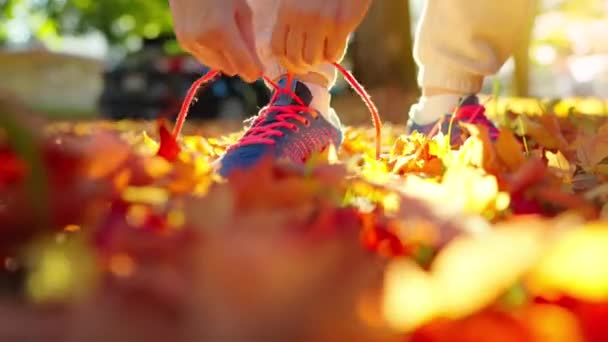 女人在慢跑或日落时走路时系鞋带 秋天的黄叶 — 图库视频影像