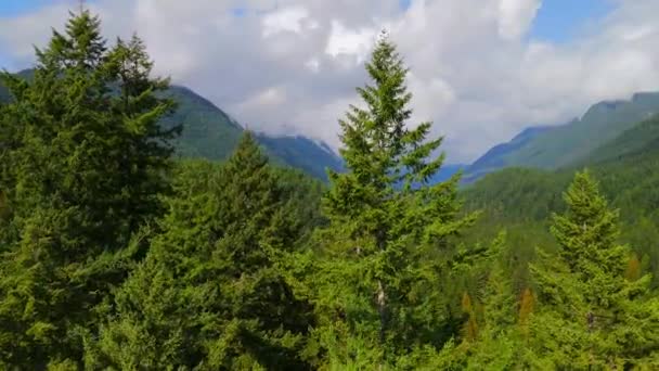 캐나다 풍경의 밴쿠버 브리티시 컬럼비아 캐나다 근처에 걸렸습니다 — 비디오