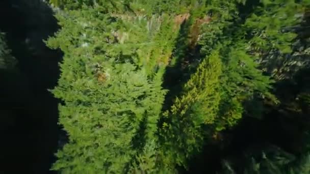 Niezwykły Widok Lotu Ptaka Brandywine Falls Sfilmowany Dronem Fpv Szybki — Wideo stockowe