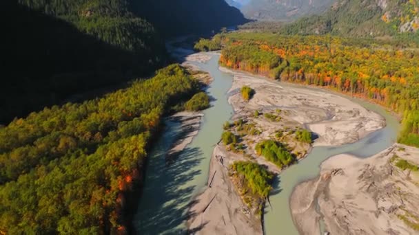 Ohromující Podzimní Krajina Kanadě Britská Kolumbie Letecký Pohled Barevný Les — Stock video