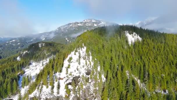 Widok Lotu Ptaka Zielone Drzewa Mgłą Zboczach Gór Kanadyjski Skalisty — Wideo stockowe