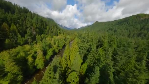 大きな石の間に流れ 銀行の木々に囲まれた山の風景と川の上のFpvドローンによる高速飛行 バンクーバー ブリティッシュコロンビア カナダ — ストック動画