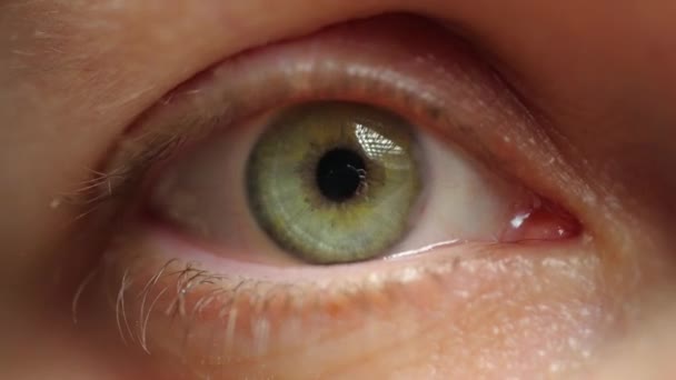 Extreme Close Της Γυναίκας Άνοιγμα Όμορφο Μάτι Πράσινη Ίριδα Υγιής — Αρχείο Βίντεο