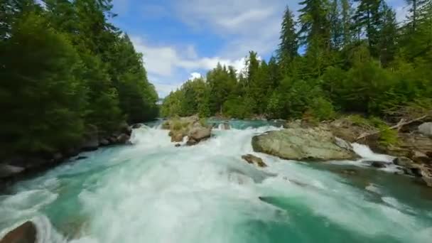 Fpv Drönare Flygning Över Den Snabbt Rörliga Floden Med Forsar — Stockvideo