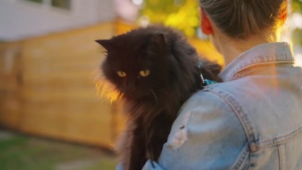 Piękna Kobieta Przytulająca Swojego Czarnego Kota Świeżym Powietrzu Kot Powącha — Wideo stockowe
