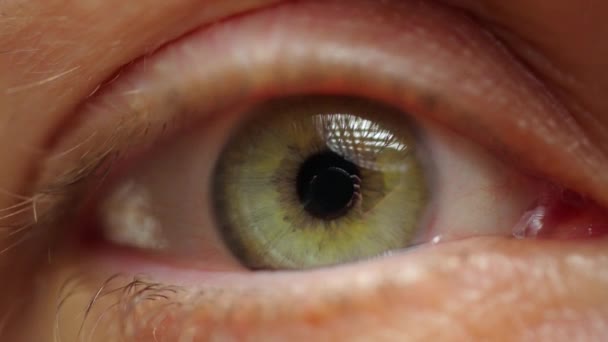 緑のアイリスで美しい目を開く女性の極端なクローズアップ 健康な視力認知コンセプト スローモーション — ストック動画